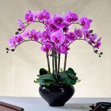 �����m���玧�����Gֲ�����m����С��͏d�҃�ֲ�ﻨ���ļ����B��