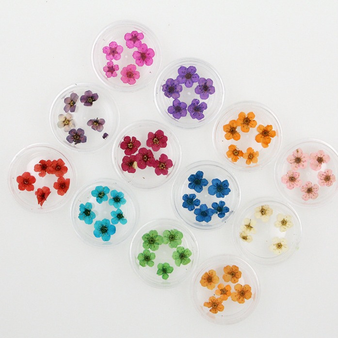 Nail 12 -color dried flower 60 dried flower nail jewelry nail…