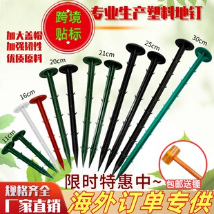 �羳�N�ˈ@ˇ������϶�Ҏ�������@��ɫPP����ᔷ��@ˇ���üӹ�