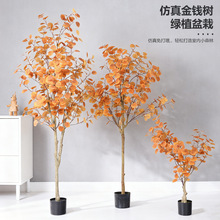 ������Ř��S��S�������u�X��ٽ��������d�̈��lؔ��