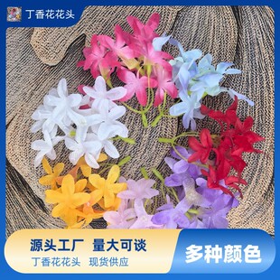 ���滨���㻨ʮ�֙ѻ������ֹ��������h���ll���l�A���h����