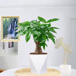 �������Ϙ������U�lؔ��֗U��䘶�҃ȿ͏d��ؔ�辰�k���Һ��B��