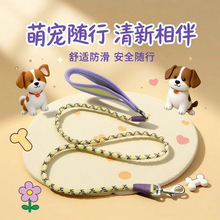 热卖宠物用品易拉宝项圈牵引绳套装圆绳牵引绳宠物狗狗遛狗绳狗链