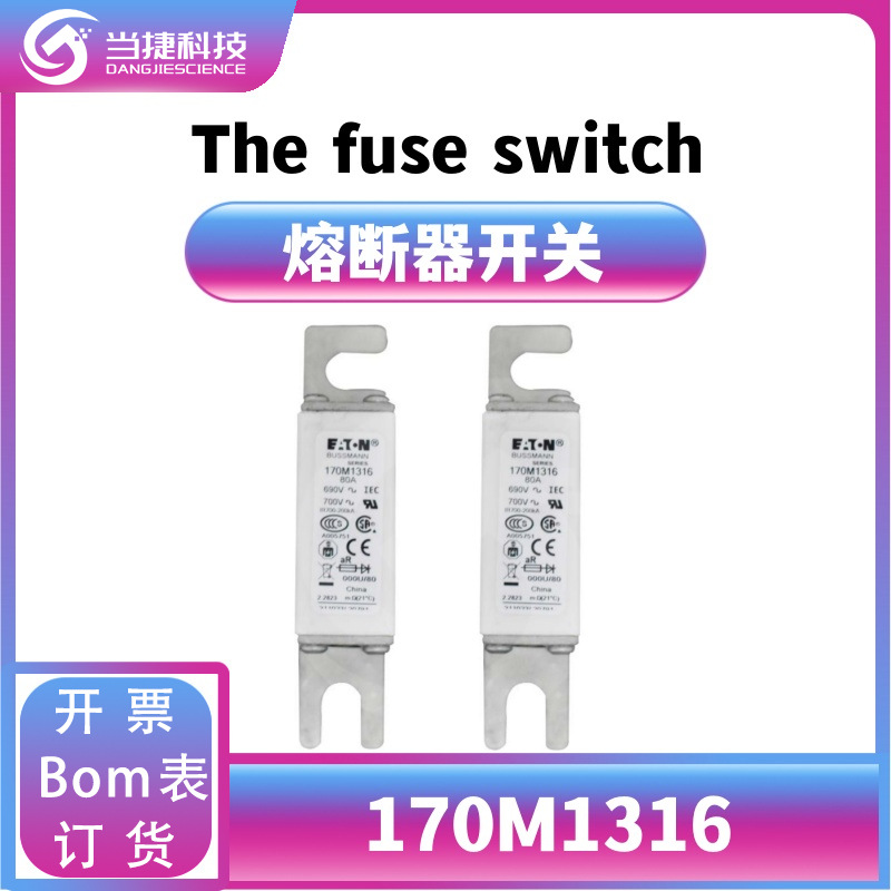 170M1316 全新模块直流熔断器 170M1316微动开关 原装现货