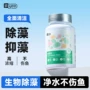 yee去除水藻褐藻绿藻