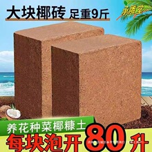 Ҭ�u��K�I�B���N��Ҭ���B��ͨ���������Nֲ��Ó�}��Ү�u�M��