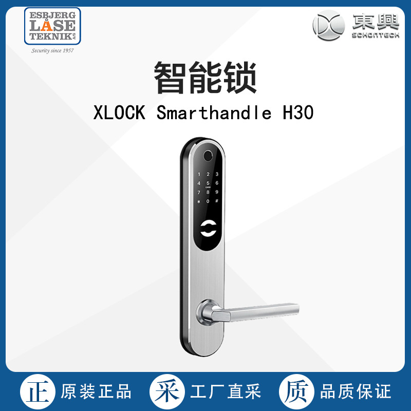 丹麦直采 Esbjerg LaseTeknik 智能锁  H30 多型号