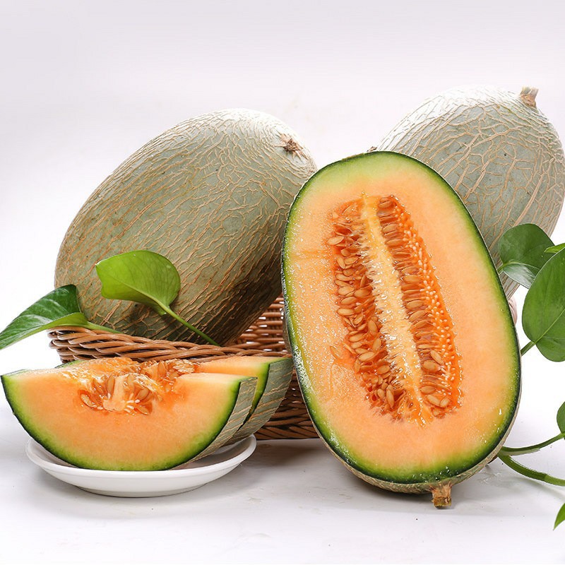 海南西州蜜 哈密瓜 晓蜜25号 西州蜜 香甜蜜瓜 新鲜水果
