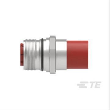 TE/̩��SEGA002NN00000002000���ؿ��ŷ������� �ֻ� �������