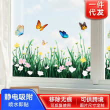 Դ�^���S���l�羳�����NĤ�b��N���g��������ɫ���������o��N