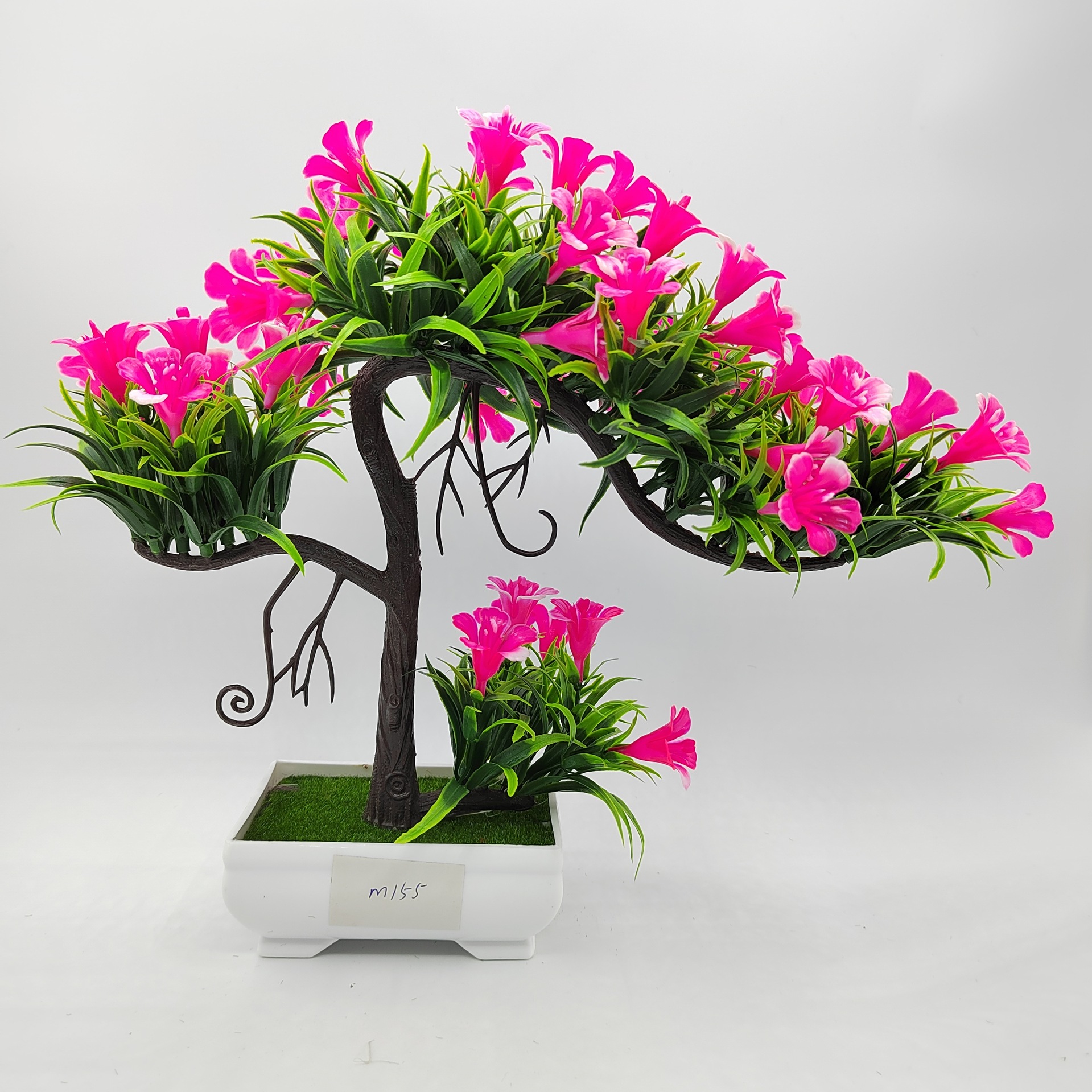 IMG_20220317_150312_edit_13819