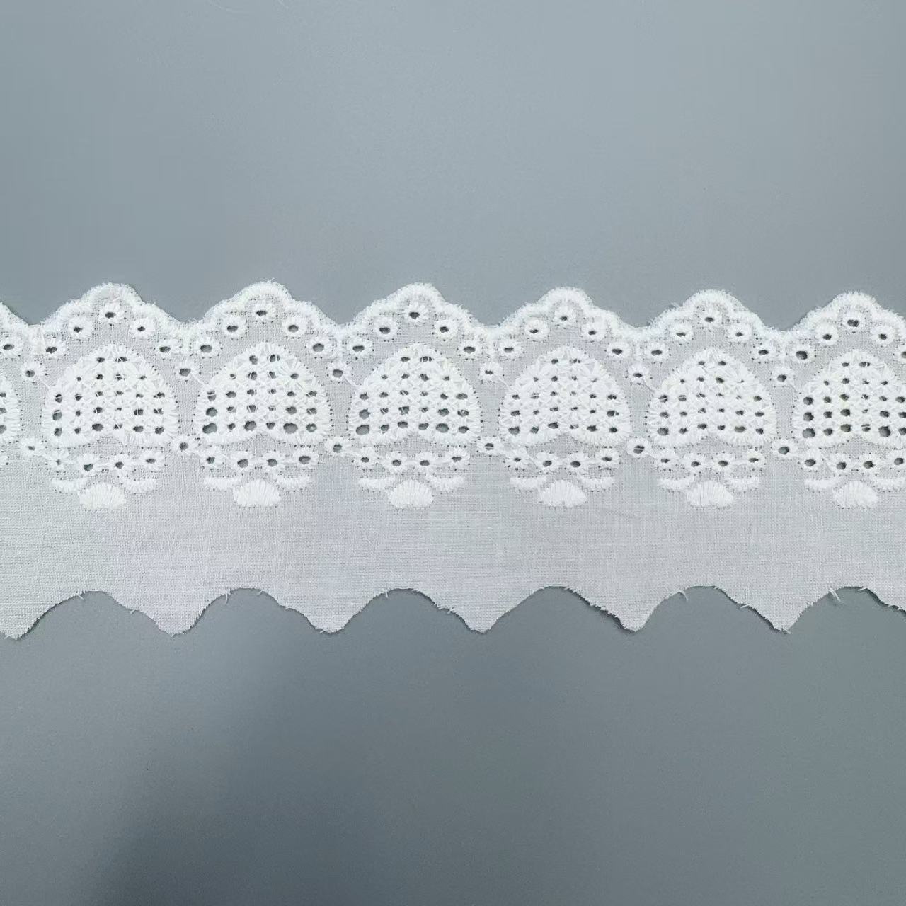 微信图片_20250725192515