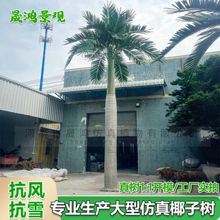 ���Q�������Ҭ�Ә�����҃����b�����ؙ���ֲ���Ҭ������