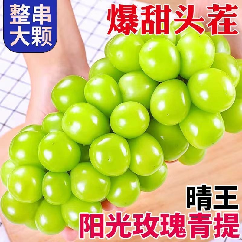 Color Box Shine Muscat 3/5 Jin Whole Cluster Green Grapes Seedless Shine Muscat Fresh Fruit