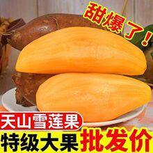 云南天山雪莲果应季长型净重5斤单个150克孕妇低糖新鲜水果特产