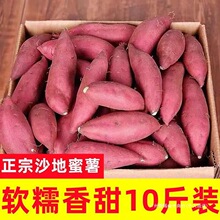 板栗蜜薯红薯新鲜沙地蜜薯甜地瓜蜜批发黄心番薯食用农产品全年