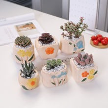 ����ֲ�ﺬ�莧�������ײ����ֽM�����Ժ��B�׻��k�������҃ȾGֲ