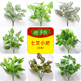 ����ֲ��Gֲ���Ի��ۻ����b��~��7��С��ֲ��ٻ��쾰���