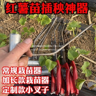 �t���������������矟����t��������� �߲�����������������