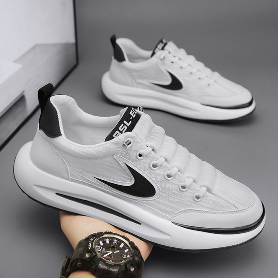 2025 New Men's Shoes Spring and Autumn Breathable Ice Silk Mesh Shoes Fashionable All-match Sports Daddy Shoes Forrest Gump Shoes