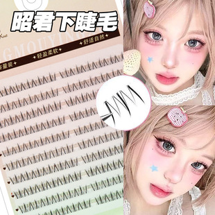 �Ѿ��½�ë���������L�W�t���yƽ�ȹ��S���l False Eyelashes�羳