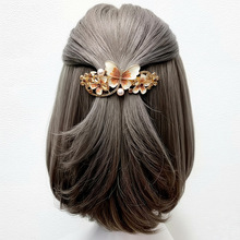 ɊAllY߼ЃŚ|X״̖ʯRβlA