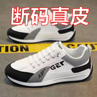��ţƤ������Ь�\���п���Ьһ�_�ŷ������eЬ