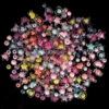 [Mixed models of half a catty of about 500] Put of 1 volume of the bag