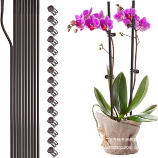 �����m��֧���m�A��֧�ΗUֲ�����ٻ��̶ܹ������F�z֧�܈@ˇ����