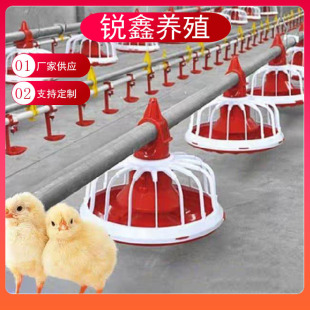 ���l�B�u�O�� ���u�Ԅ��Ͼ�ˮ���ˮ�� �Ͼ���� �g�����u���Ͼ�