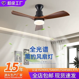吸顶灯;吊灯;成套灯具