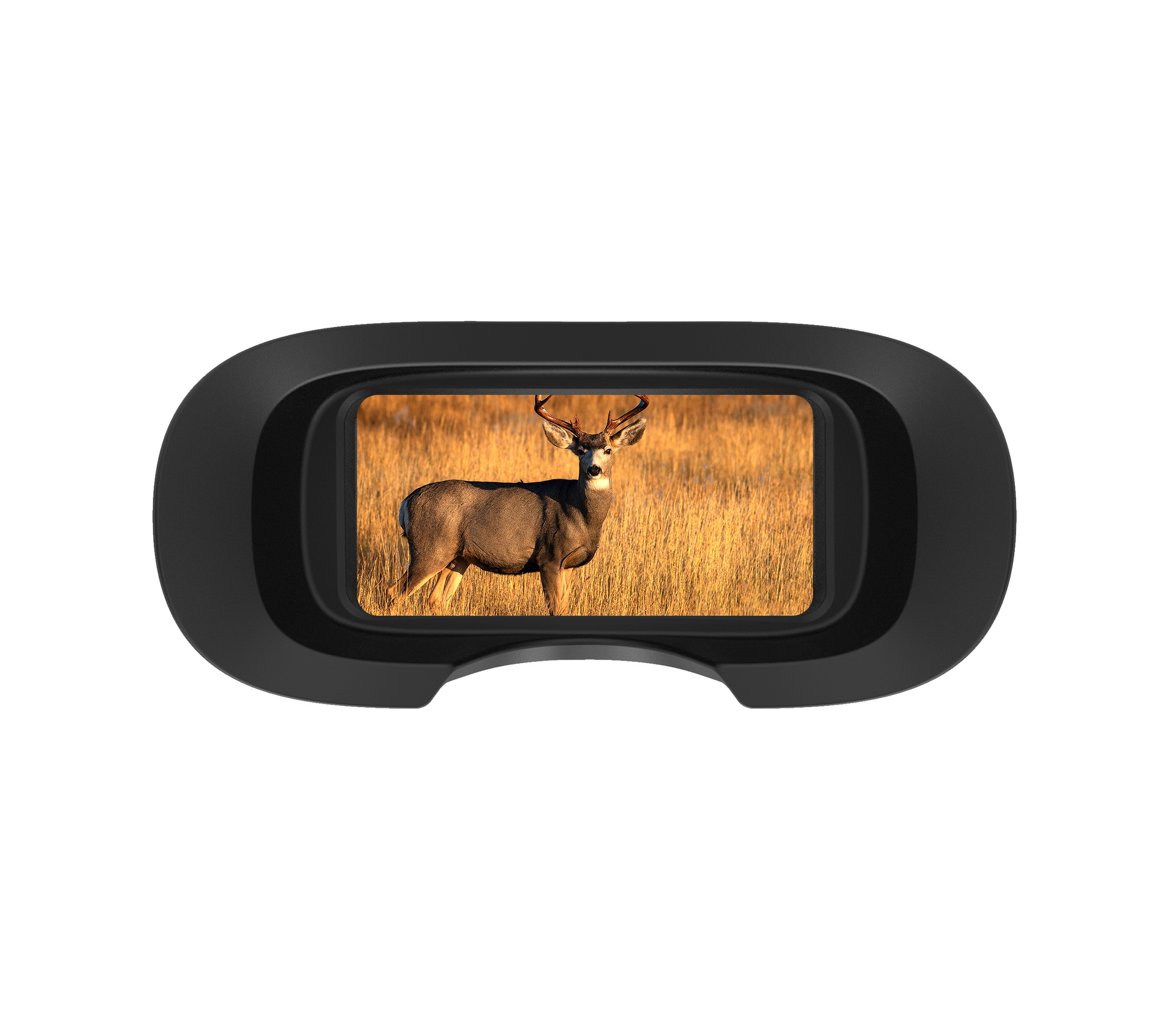 DT49夜视仪主图 (16).jpg