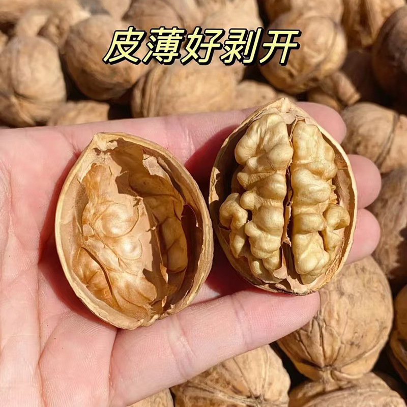 新疆185纸皮核桃新核桃大颗粒袋装批发 手捏即开阿克苏薄皮核桃|undefined
