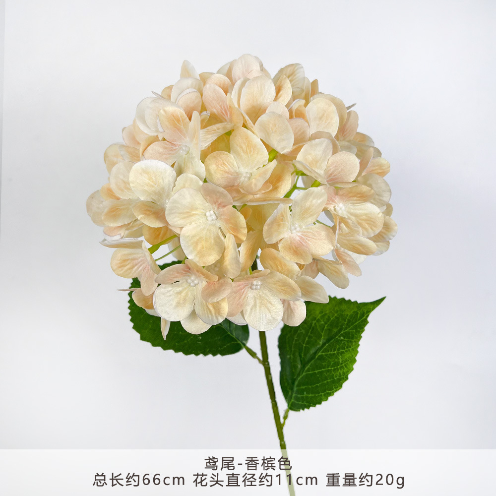 TY-72片3D绣球-香槟