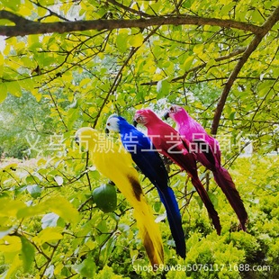 Source factory supply simulation color parrot, real feather Parrot site decoration 25cm parrot craft props