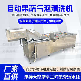 大型果蔬气泡清洗机全自动洋葱生姜清洗机震动旋流果蔬气泡清洗机