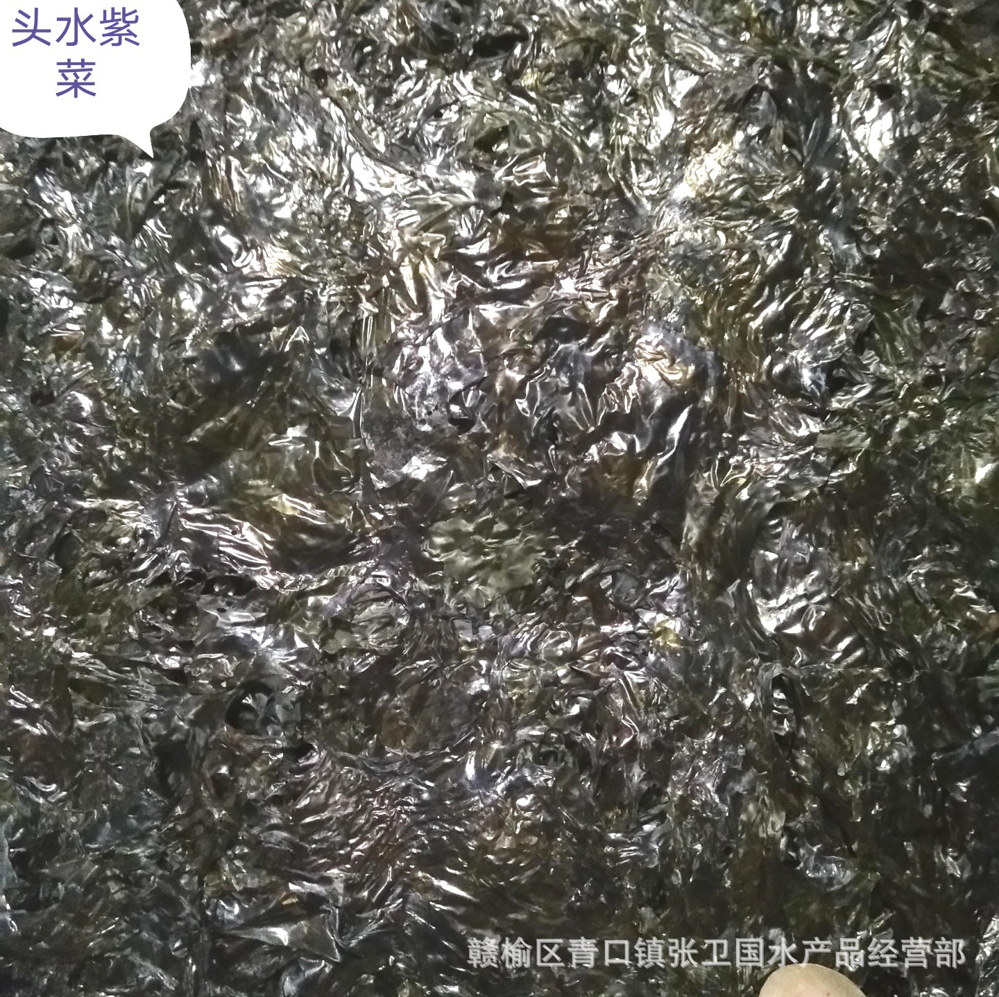 海鲜特产新货紫菜 散装紫菜 头水紫菜 紫菜250克批发
