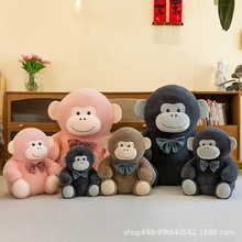 羳ɐɱëq߿ɐůϵżץC