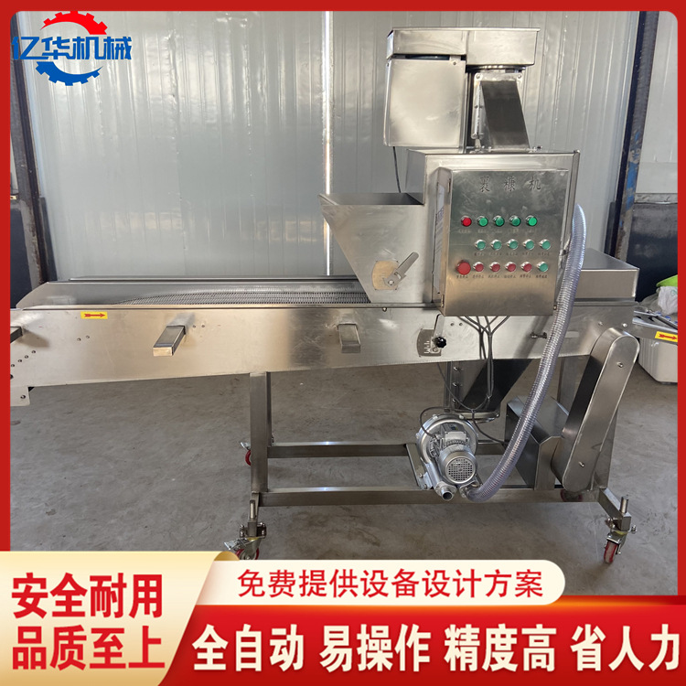厂家直供鸡柳上糠机 全自动鱿鱼圈裹糠机 奶冻条上浆裹糠全套设备