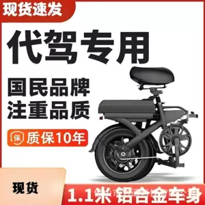 Folding Electric Vehicle Lightweight Portable E-Bike