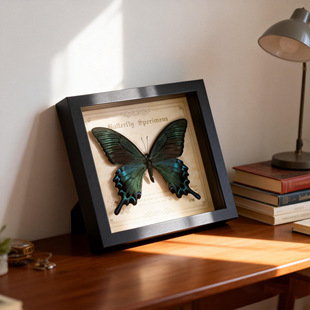 �G�����P�������˱��挍���x�˱��b����x�����^Դ�^�S�����l