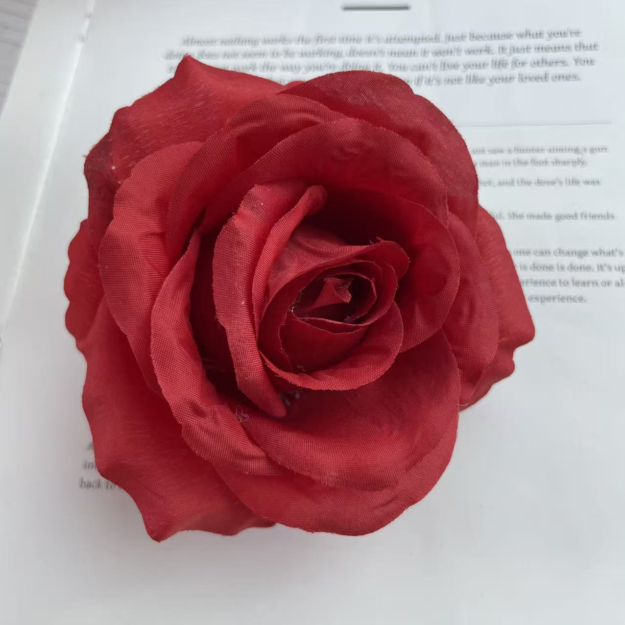 Anna gran rosa cabeza de fábrica al por mayor flowerhead flower corona flower pared flower arrangement artesanía DIY