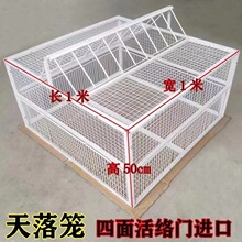 鸽笼全自动鸽子笼家养天落收只野外加密进不出鸽子笼笼活络垒德株