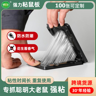 �羳�����Ϗ���ճ����ˮ���������z��������������N���R�d����