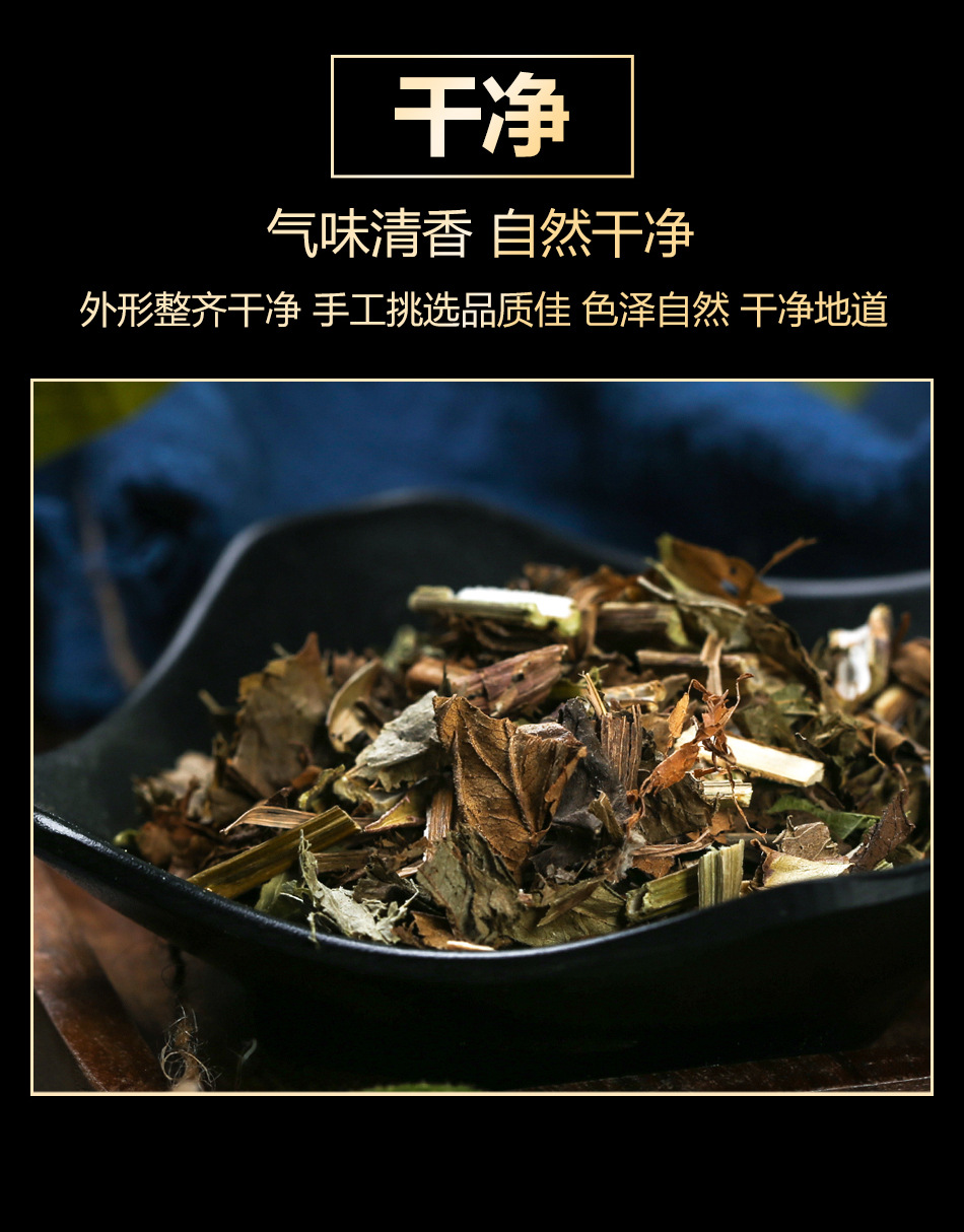 Eupatorium佩兰 Fragrant Herb Tea Blend with Elsholtzia for Fresh Breath Support Loose Wild Green Tea 500g 2 Cans in use