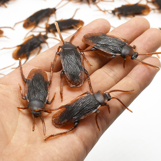 Fake cockroach toy simulation trick props bugs spoof Scary trick artifact plastic cockroach
