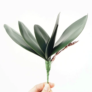 EVA仿真蝴蝶兰叶子兰花叶手感婚庆家居装饰兰花叶绿植批发植物