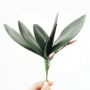 叶子家居手感植物蝴蝶兰