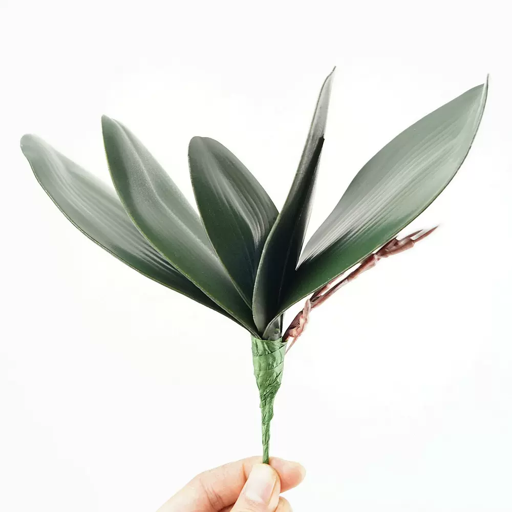 EVA仿真蝴蝶兰叶子兰花叶手感婚庆家居装饰兰花叶绿植批发植物