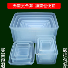 无盖塑料盒 摆摊专用商品展示盒大小号收纳盒子 长方形塑料储物箱